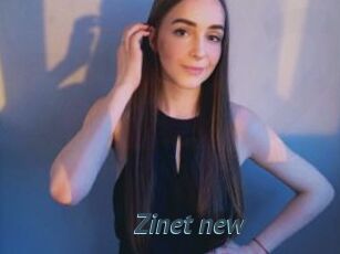 Zinet_new