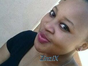 ZinziX